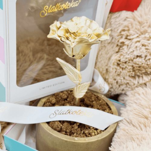 Valentines poklon paket 2 (sa medom 80cm i čokoladnom saksijom sa ružom)